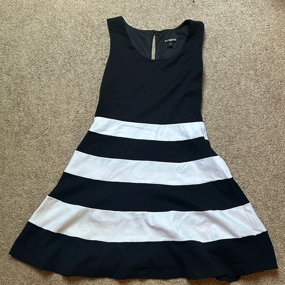 Express Medium Dress